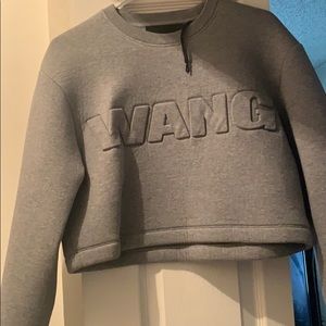 Alexander wang  crop scuba hoodie